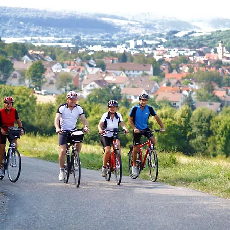 Western Premier Parkhotel 4*