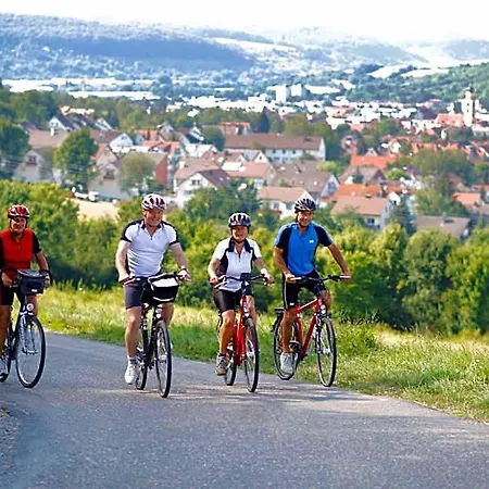 Western Premier Parkhotel 4* Bad Mergentheim